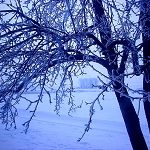 Le luxe en hiver avant de mourir