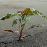 État du monde: de l’impuissance à l’espoir!