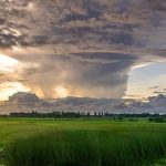 Prioriser l'environnement